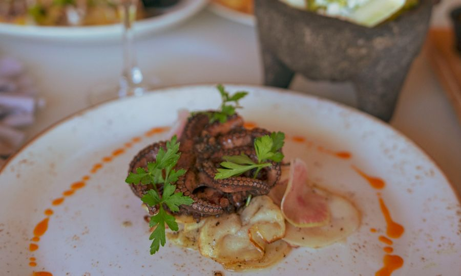 Almuerzo Ana y José Hotel & Beach Club Tulum Almuerzo Ana y José Hotel & Beach Club Tulum